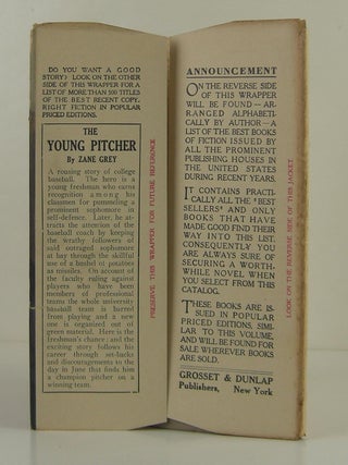 The Young Pitcher