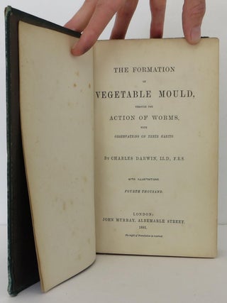 Vegetable Mould