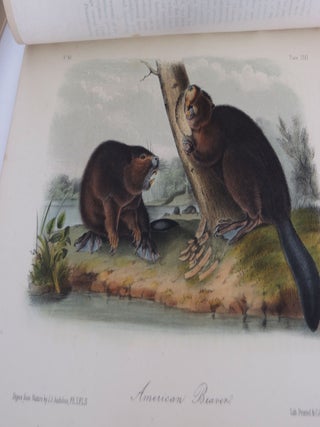 The Quadrupeds of North America