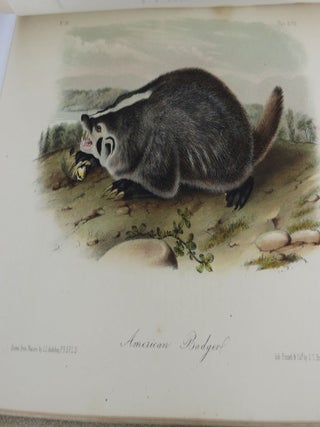 The Quadrupeds of North America