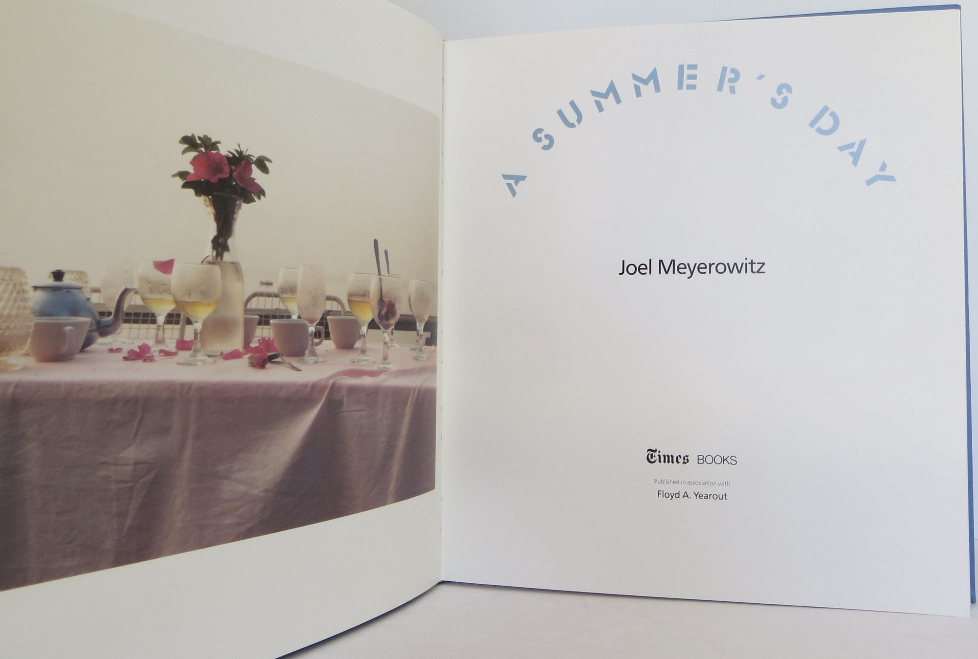 A Summer's Day by Joel Meyerowitz on Bookbid Rare Books